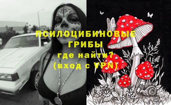 мяу мяу кристалл Алексин