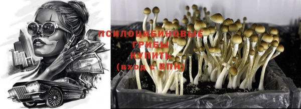 дмт Алексеевка
