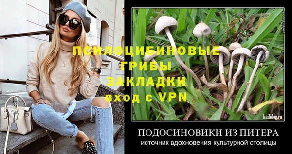 мяу мяу кристалл Алексин