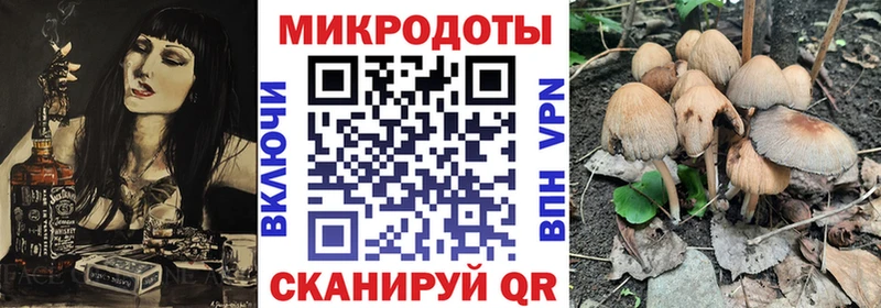 Псилоцибиновые грибы GOLDEN TEACHER  Нолинск 